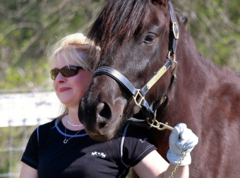 Donna M. Carlson