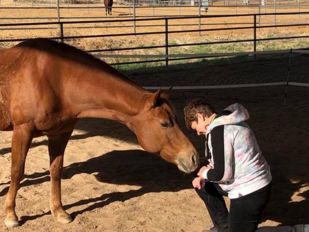 Bailey in AZ