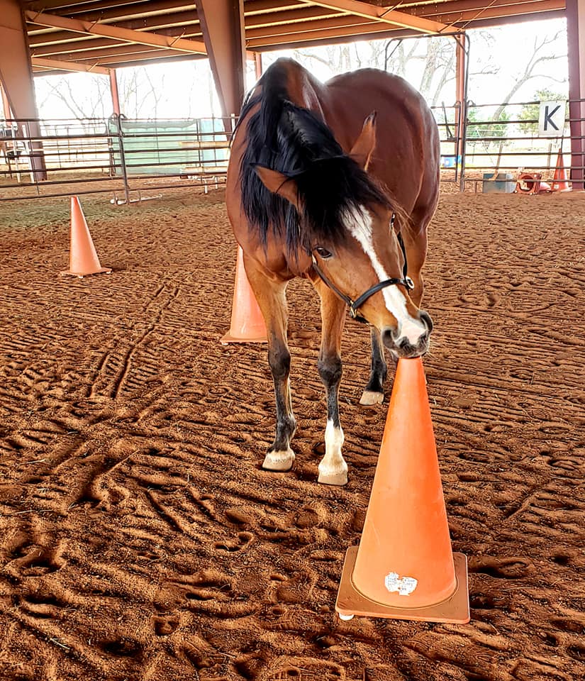 Belle adjusting the cones