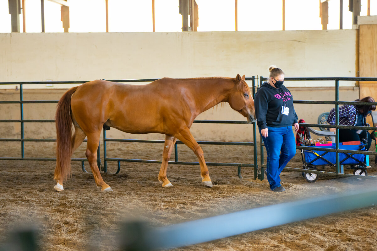 Vonie Kalich Coaching