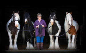 Equine gestalt coaching Melisa Pearce and her gypsy vanner horse coaches