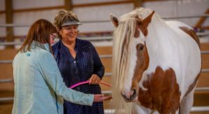 Equine Gestalt Coaching Method