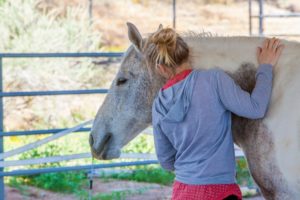 Equine Gestalt Coaching Method