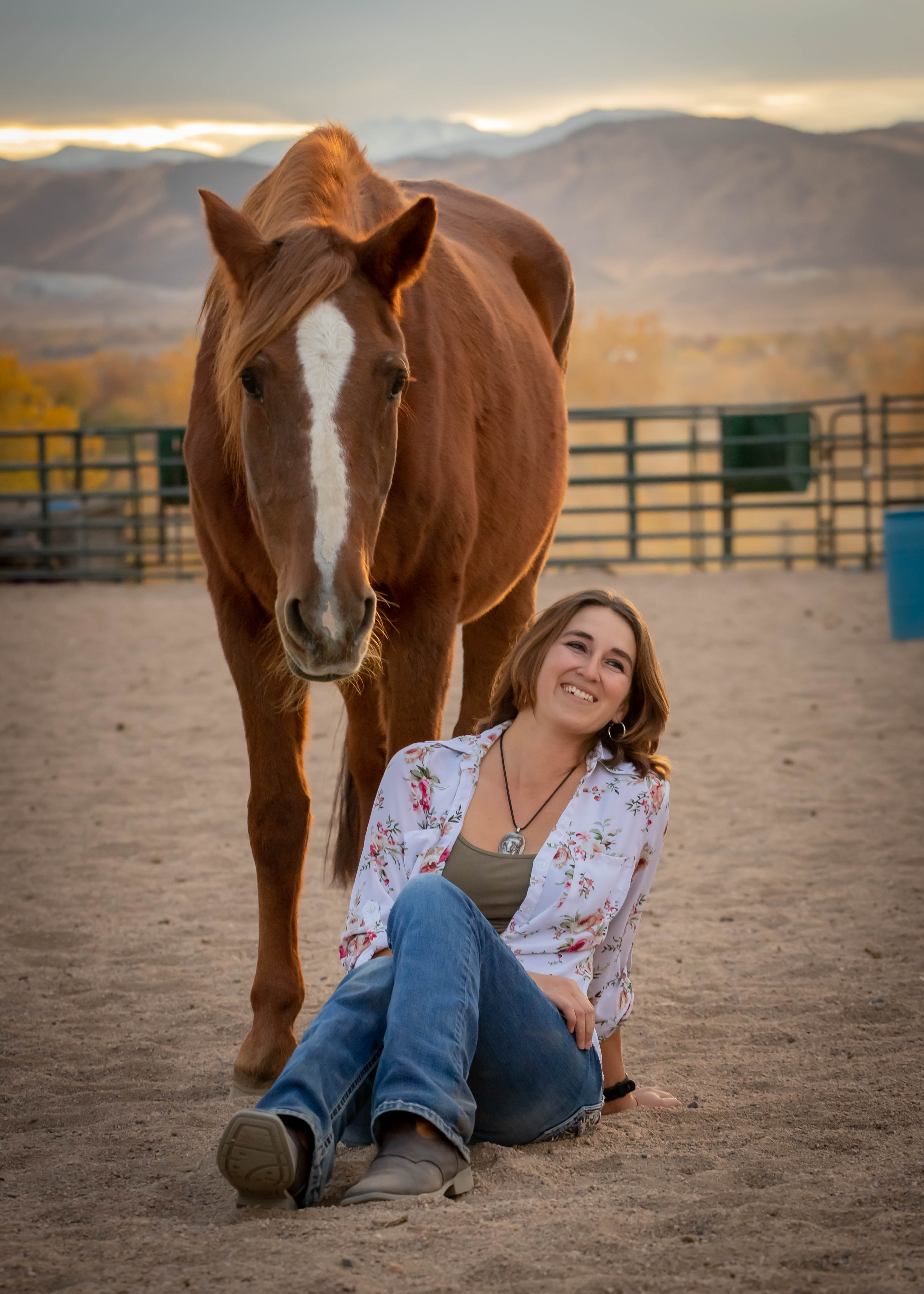 Amanda Soper Equine – Co-Active Horsemanship Coach