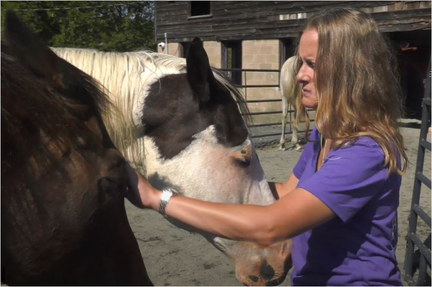 BEHA Adrienne and horses recolored Touched by a Horse
