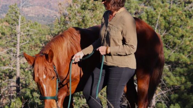mountaintop-horse-for-TBAH