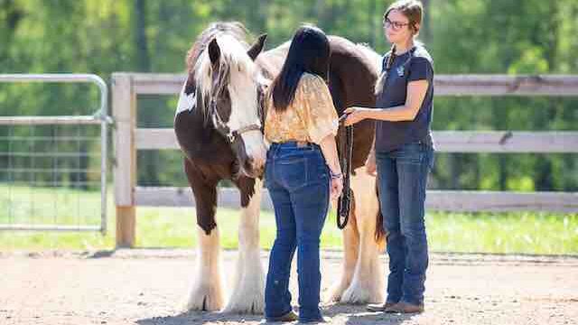 MMP_4235©meg-mcguire.com_
