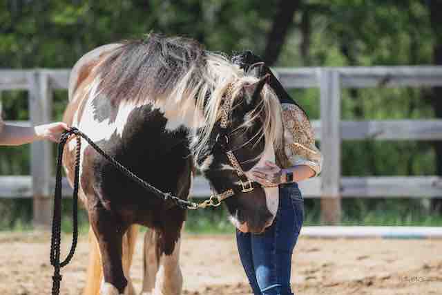 MMP_4275©meg-mcguire.com-2