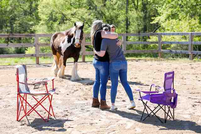 MPV0468©meg-mcguire.com_